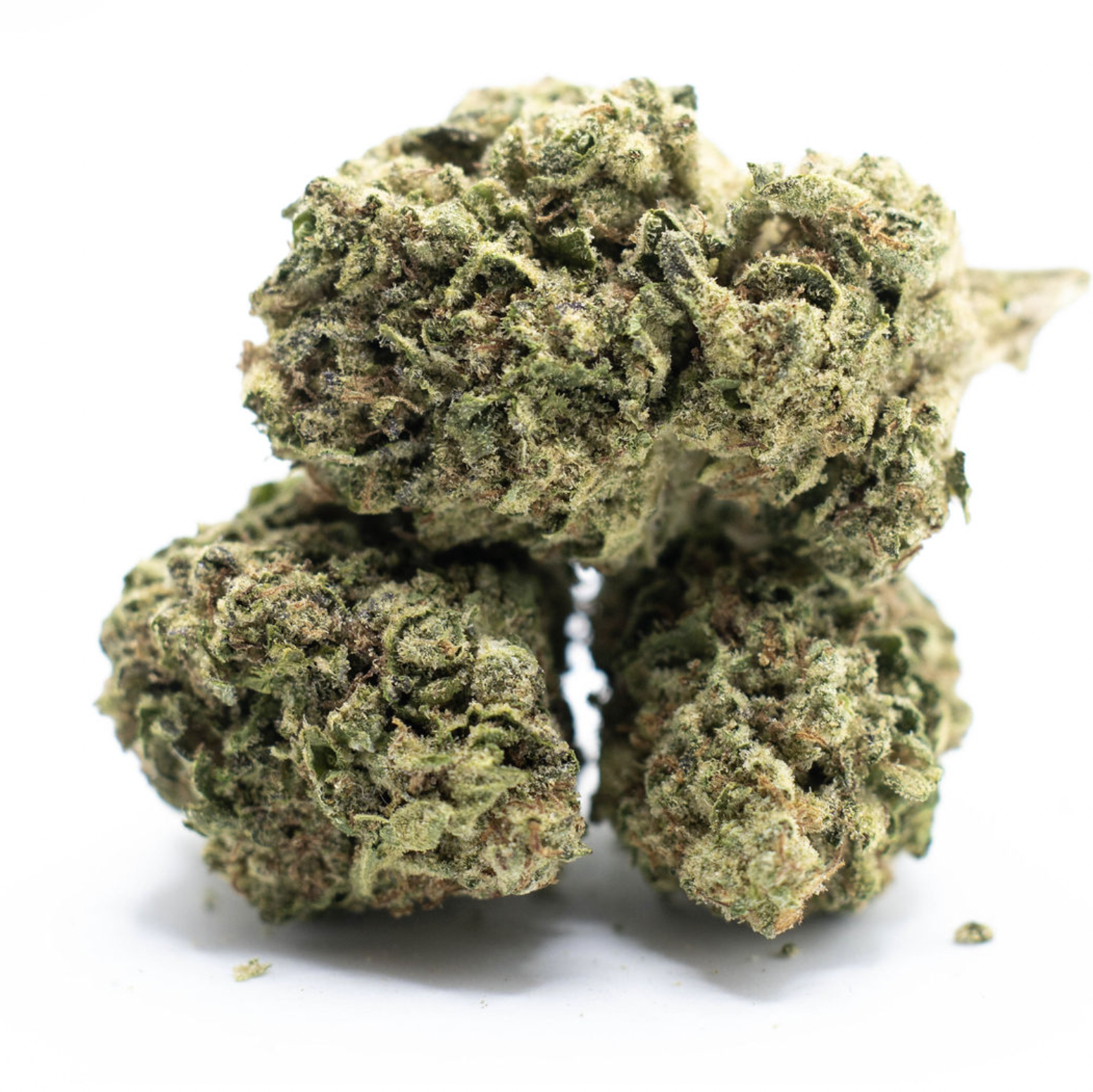 Purple panty dropper